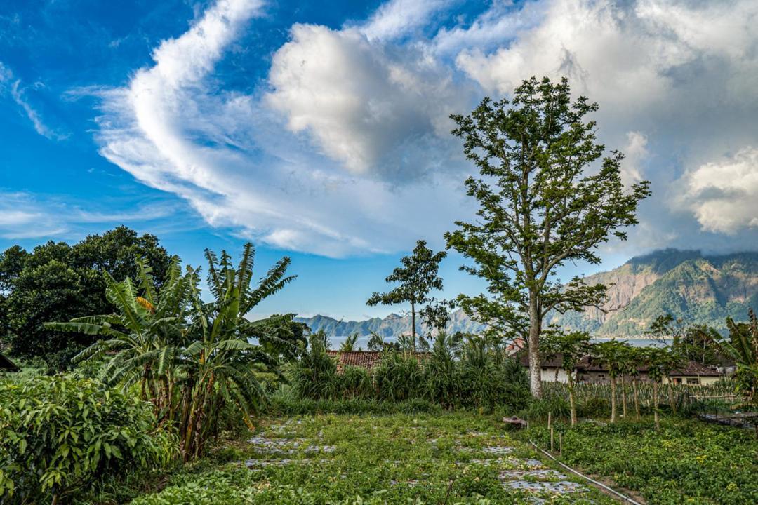 Pondok Manoka Kintamani  Exterior photo