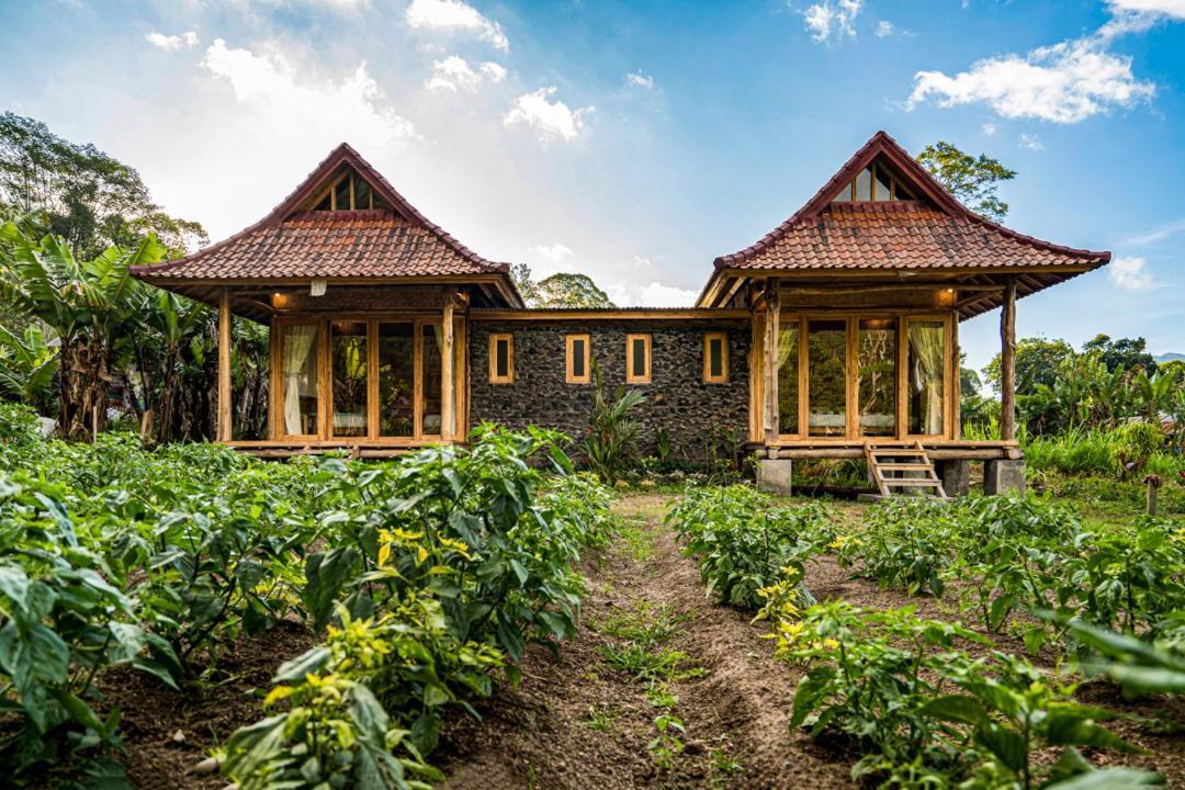 Pondok Manoka Kintamani  Exterior photo